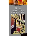 Rhums, Rhums Fruits et Rhums Arrangés