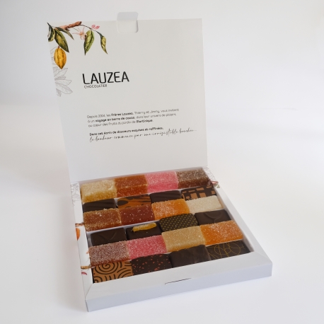 Lauzéa Mixte Chocolats et Pâtes de Fruits 2X12 264g